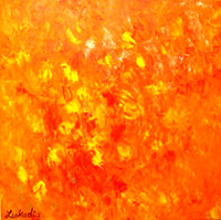 Orange field of flowers